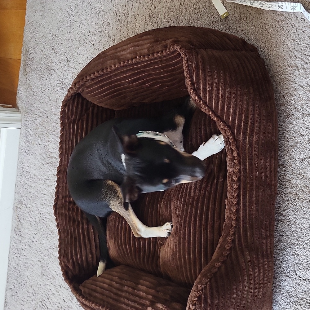 Dog bed - Picture 6 of 9